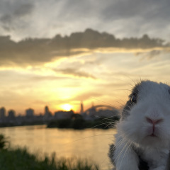 27位のイメージ