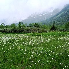 144位のイメージ