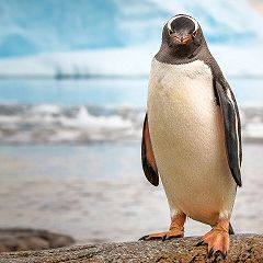 16位のイメージ