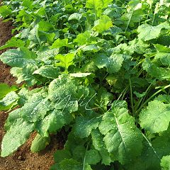 103位のイメージ