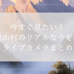 17位のイメージ