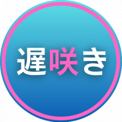 17位のイメージ