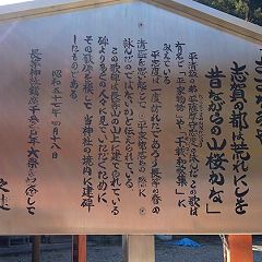 96位のイメージ