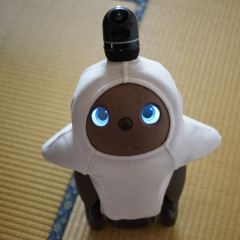 11位のイメージ