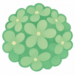 41位のイメージ