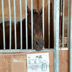 22位のイメージ