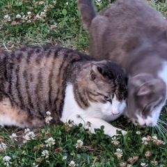 18位のイメージ