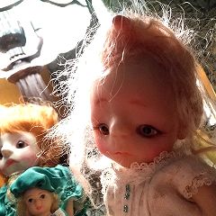 29位のイメージ