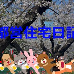 12位のイメージ