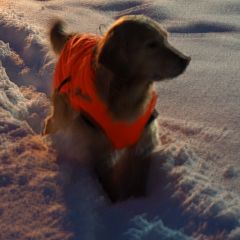 78位のイメージ