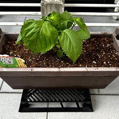 19位のイメージ