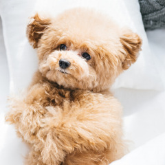 15位のイメージ