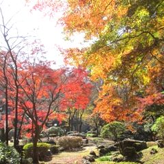 18位のイメージ