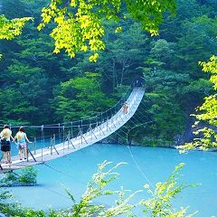 17位のイメージ