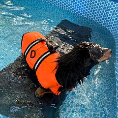 85位のイメージ