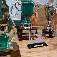 17位のイメージ