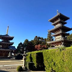 70位のイメージ