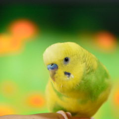 114位のイメージ