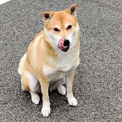 18位のイメージ