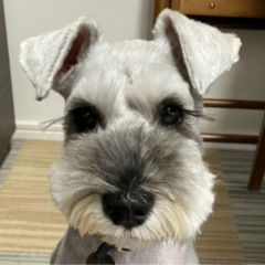 26位のイメージ