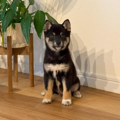 16位のイメージ