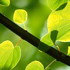 14位のイメージ