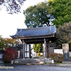 43位のイメージ