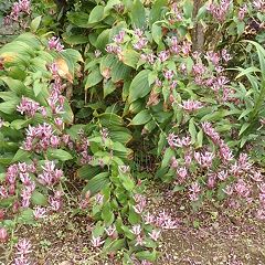 73位のイメージ