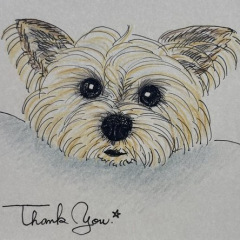 15位のイメージ