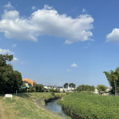 29位のイメージ