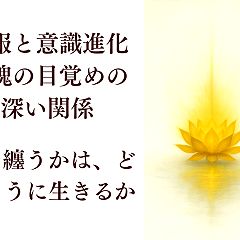 17位のイメージ