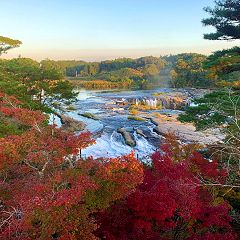 46位のイメージ