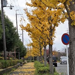 25位のイメージ