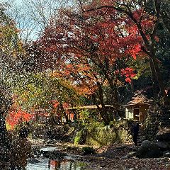 20位のイメージ