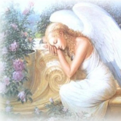 17位のイメージ