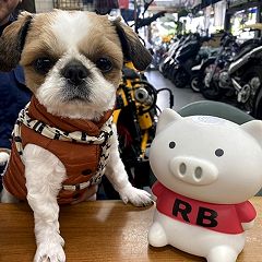 16位のイメージ