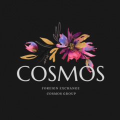 20位のイメージ