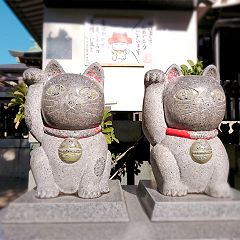 15位のイメージ