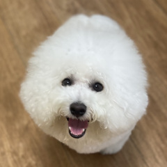 80位のイメージ