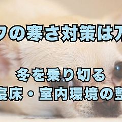 47位のイメージ