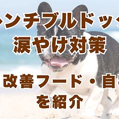 9位のイメージ