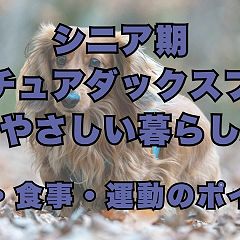 16位のイメージ