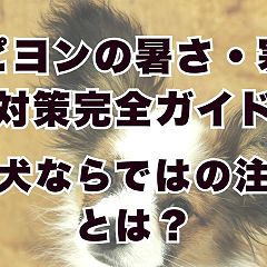 20位のイメージ