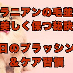 18位のイメージ