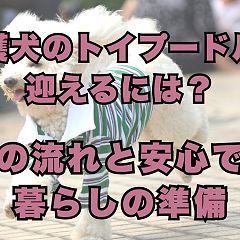 19位のイメージ