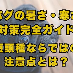 22位のイメージ