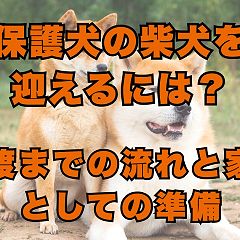 14位のイメージ