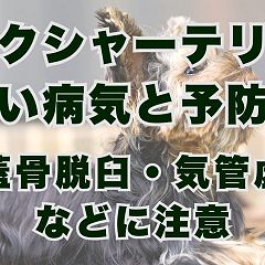 12位のイメージ