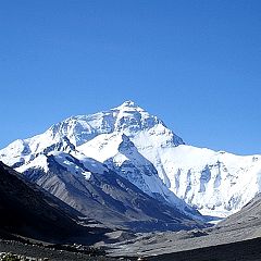 198位のイメージ