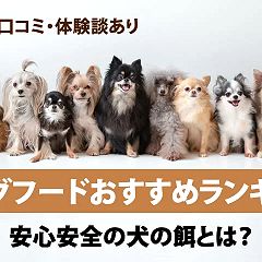 10位のイメージ